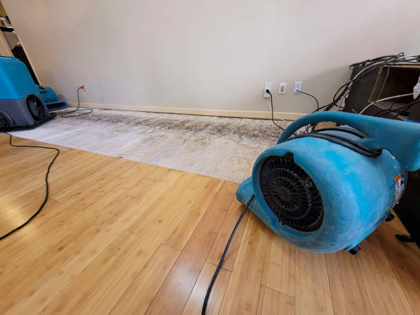 Professional Water Damage Repair technician working in Mankato, MN